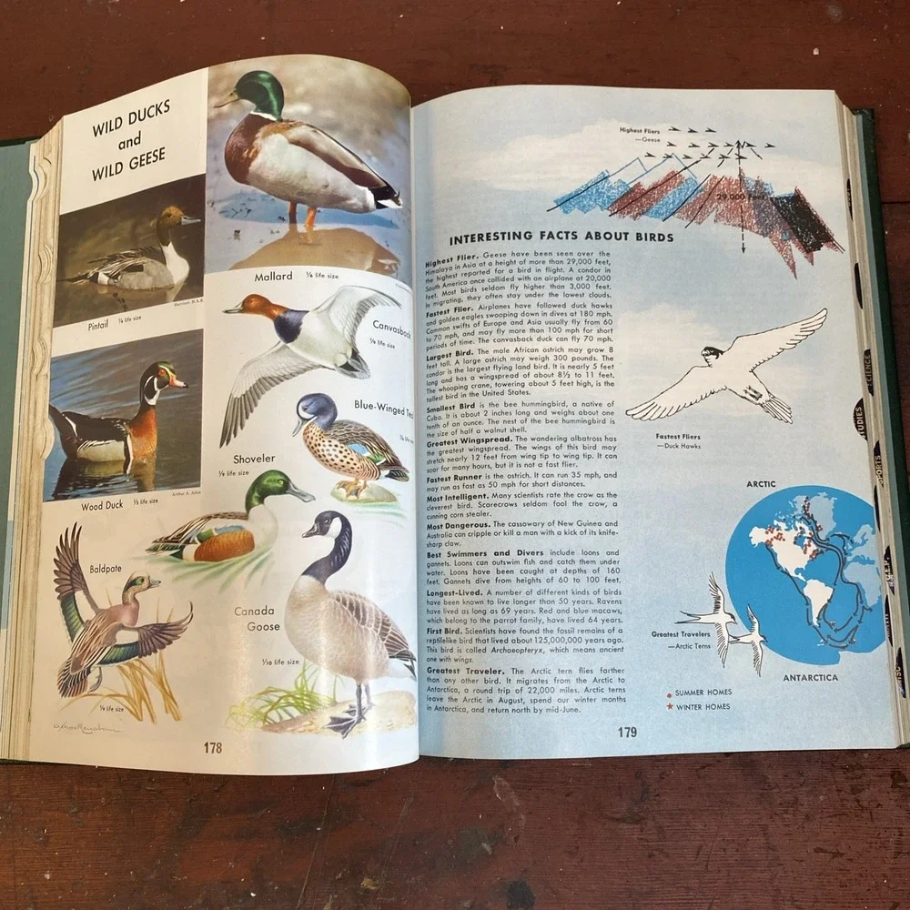 A New Milestone in Encyclopedia Craftsmanship: The World Book Encyclopedia: 1965